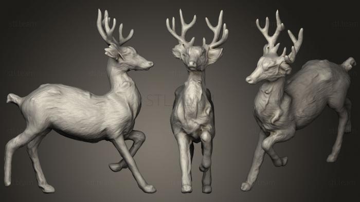 3D model Toy Deer (STL)